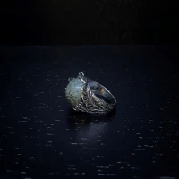 021_Giovanni Raspini anello argento con kambaba cod: 11313/22