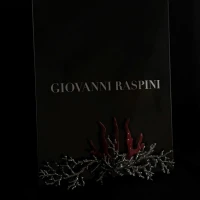 021 Giovanni Raspini cornice in bronzo cod: B0661